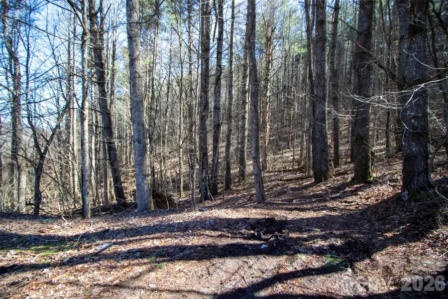 0000 Grapevine Road, Marshall, NC 28753 - #2