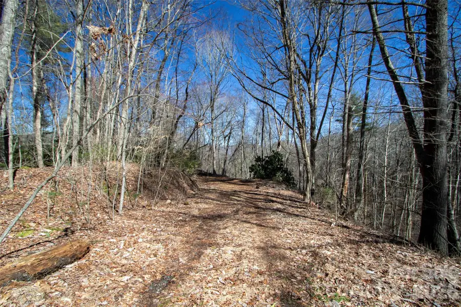 0000 Grapevine Road, Marshall, NC 28753 - #3