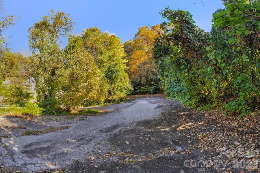 0 Waterside Drive #Lot 1B and Lot 1C, Lake Lure, NC 28746 - #2