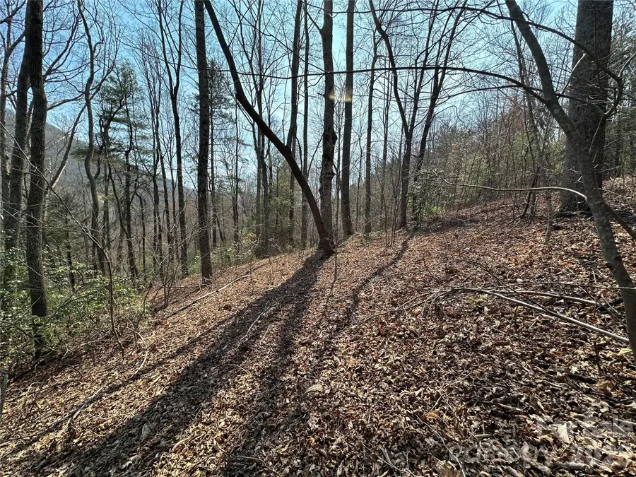 TBD Wood Stone Drive #14, Hendersonville, NC 28792 - #2