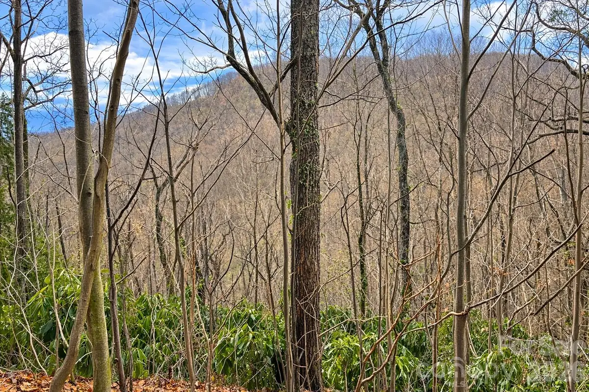 11 Majestic Overlook Way #36, Candler, NC 28715 - #1