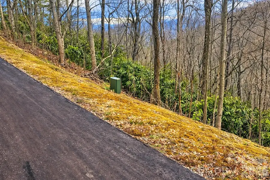 11 Majestic Overlook Way #36, Candler, NC 28715 - #2