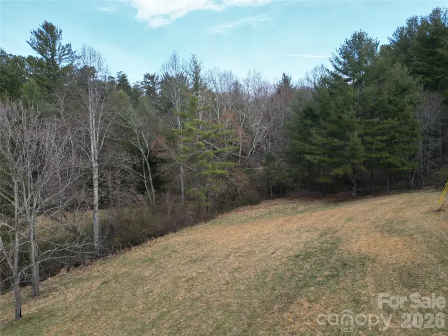 99999/46 Pug Run #4/5, Weaverville, NC 28787 - #3