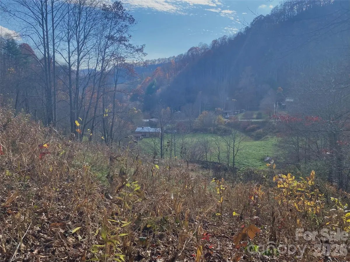 00 Foster Creek Road, Marshall, NC 28753 - #1