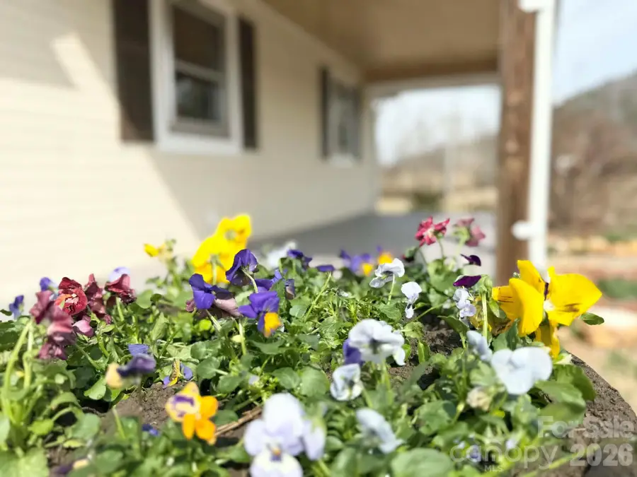 2742 Hwy 268 Highway, Lenoir, NC 28645 - #3