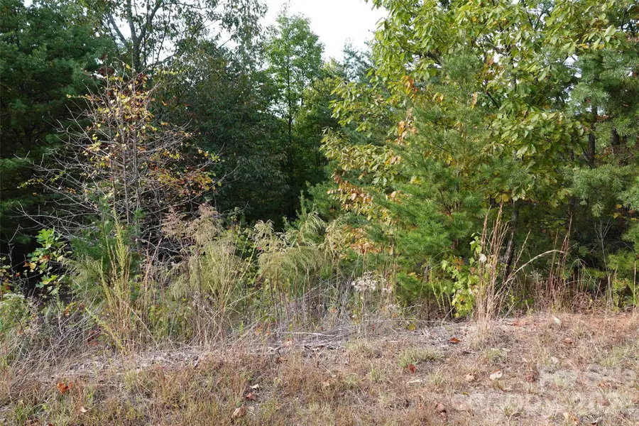 109 Ampersand Trail, Bostic, NC 28018 - #2