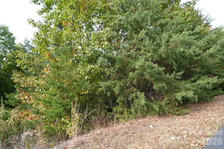 109 Ampersand Trail, Bostic, NC 28018 - #3