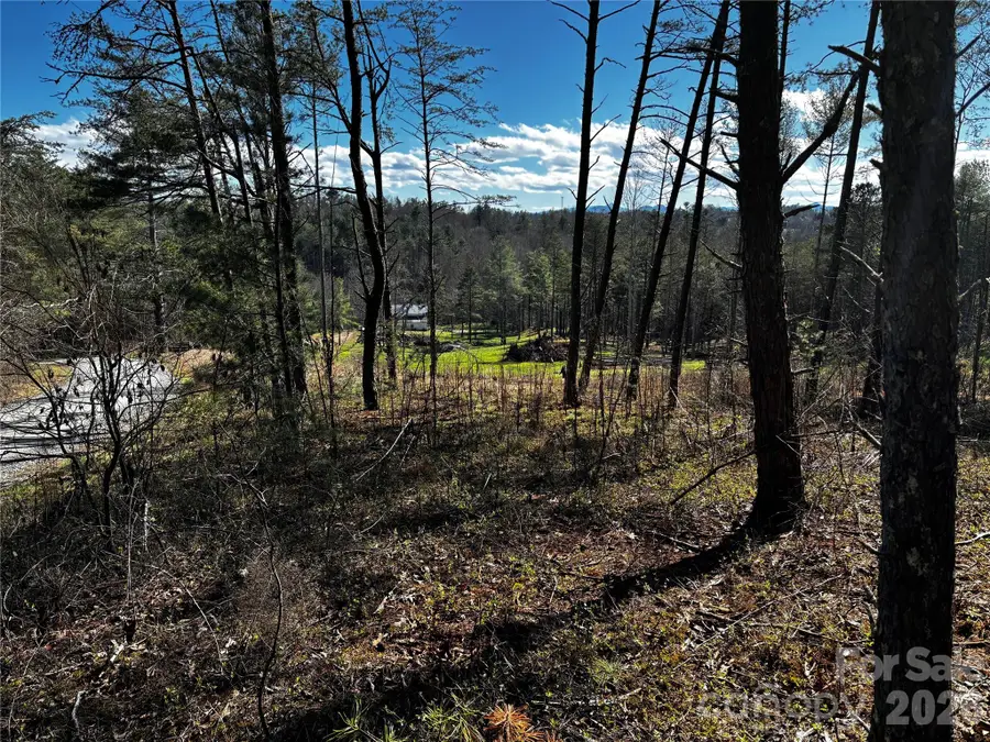 99999 Pine Forest Drive #B2, Weaverville, NC 28787 - #2