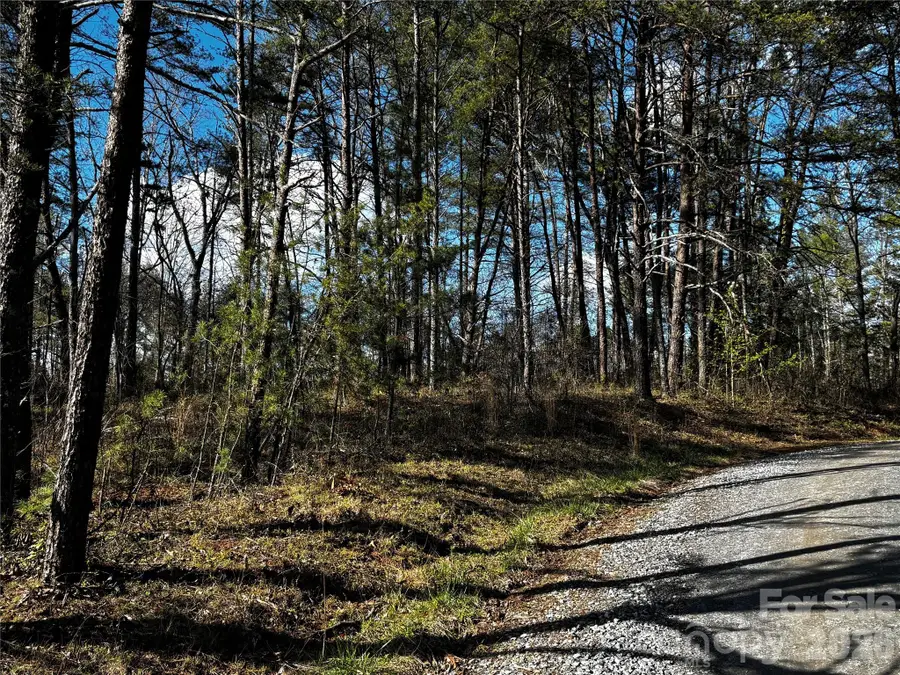 99999 Pine Forest Drive #B2, Weaverville, NC 28787 - #3