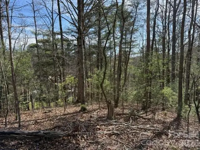 2 Frontier Court, Asheville, NC 28805 - #1