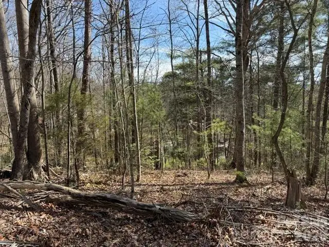 2 Frontier Court, Asheville, NC 28805 - #3