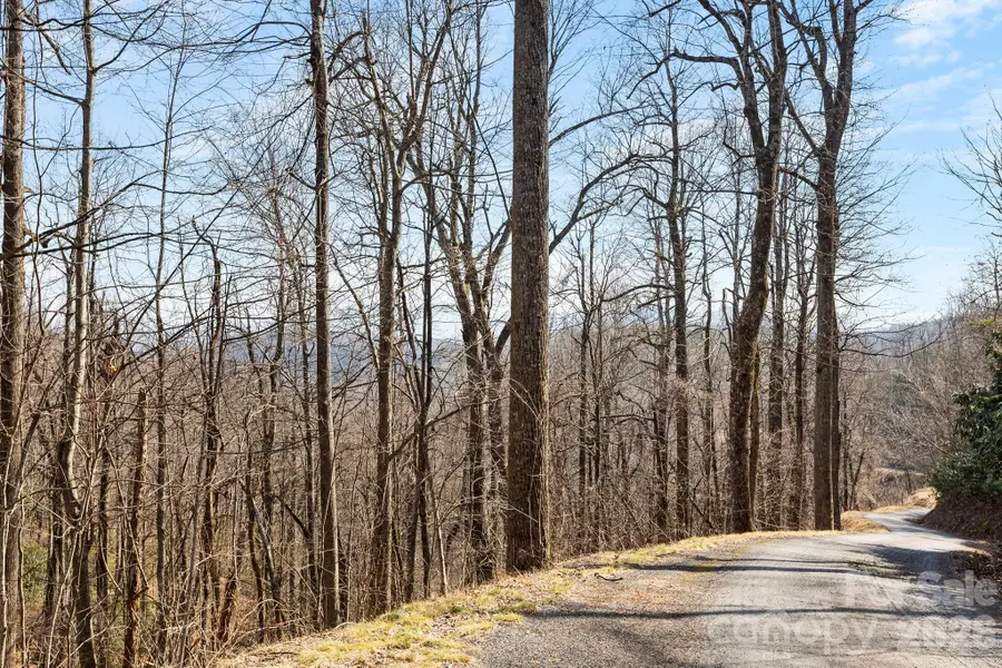 Lot 5 Laurel Mountain Trail, Black Mountain, NC 28711 - #3
