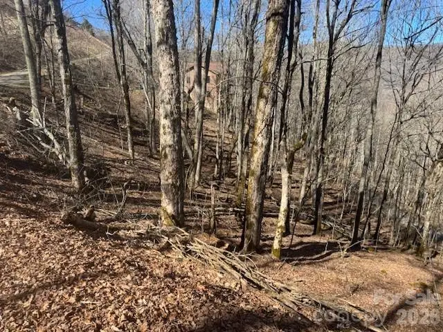 11 Zebulon Lane, Mars Hill, NC 28754 - #2