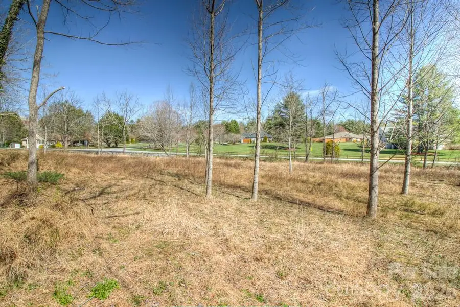 9999 Kanuga Lake Road, Hendersonville, NC 28739 - #3