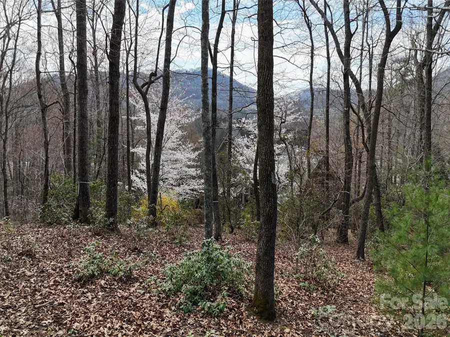 709 Craggyside Lane #24, Arden, NC 28704 - #2