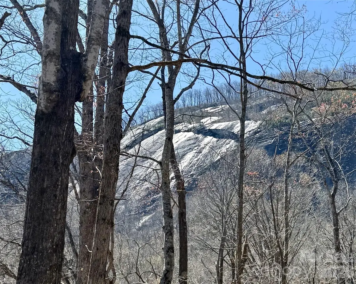 Lot 229 Swallow Lane, Lake Lure, NC 28746 - #1