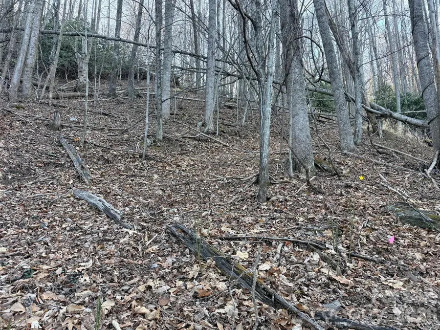 Lot #117 Honey Locust Drive #Lot 117, Mills River, NC 28759 - #3