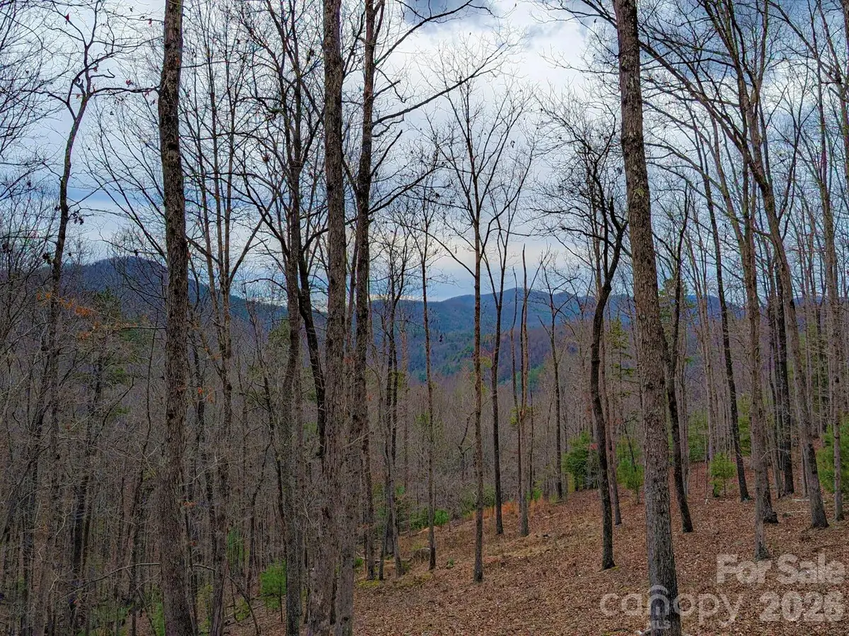51 Wild Turkey Loop #32, Marshall, NC 28753 - #1