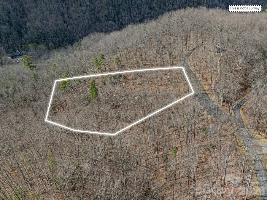 51 Wild Turkey Loop #32, Marshall, NC 28753 - #2