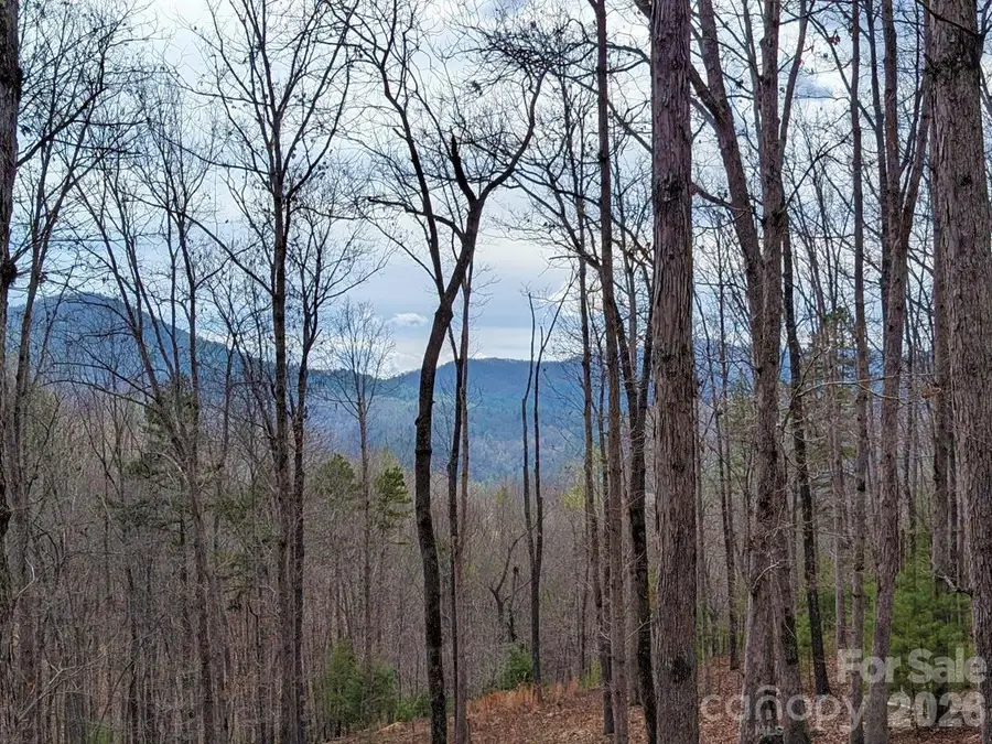 51 Wild Turkey Loop #32, Marshall, NC 28753 - #3