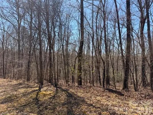 659 Bent Creek Drive #35, Nebo, NC 28761 - #3