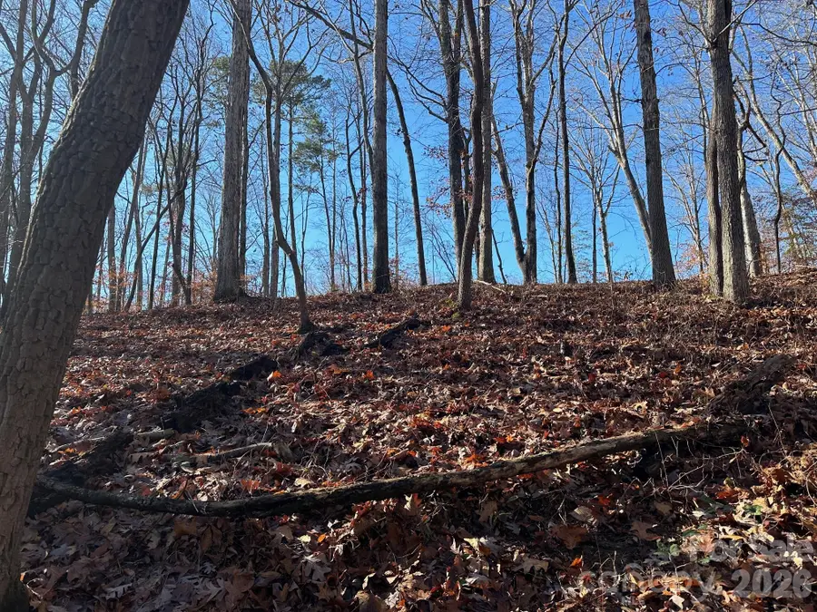 Lot 79 Tealwood Court #79, Norwood, NC 28128 - #3