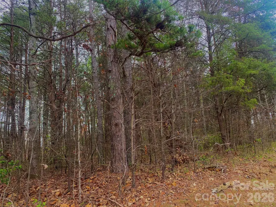 302 Lewis Ferry Road, Statesville, NC 28677 - #2