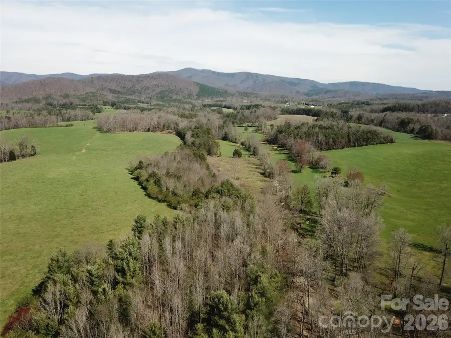 00 Moriah School Road, Casar, NC 28020 - #2