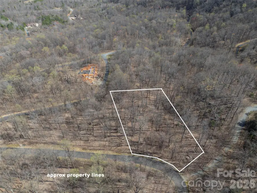Lot 2130 Weaverly Lane, Mill Spring, NC 28756 - #2
