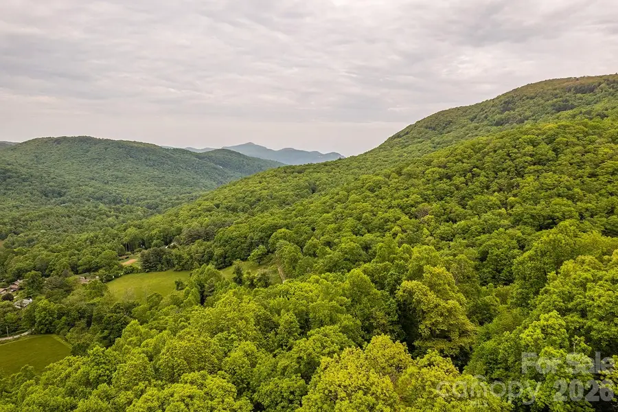 176 Mcguffey Ridge Road, Gerton, NC 28735 - #2