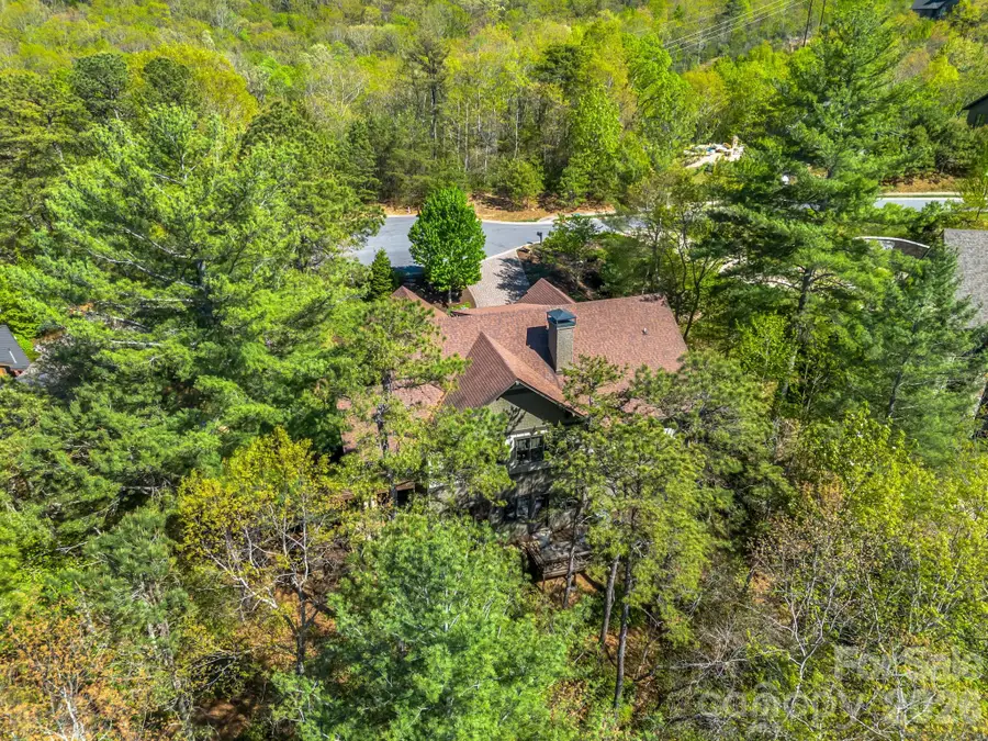 16 Panther Gap Road, Black Mountain, NC 28711 - #3