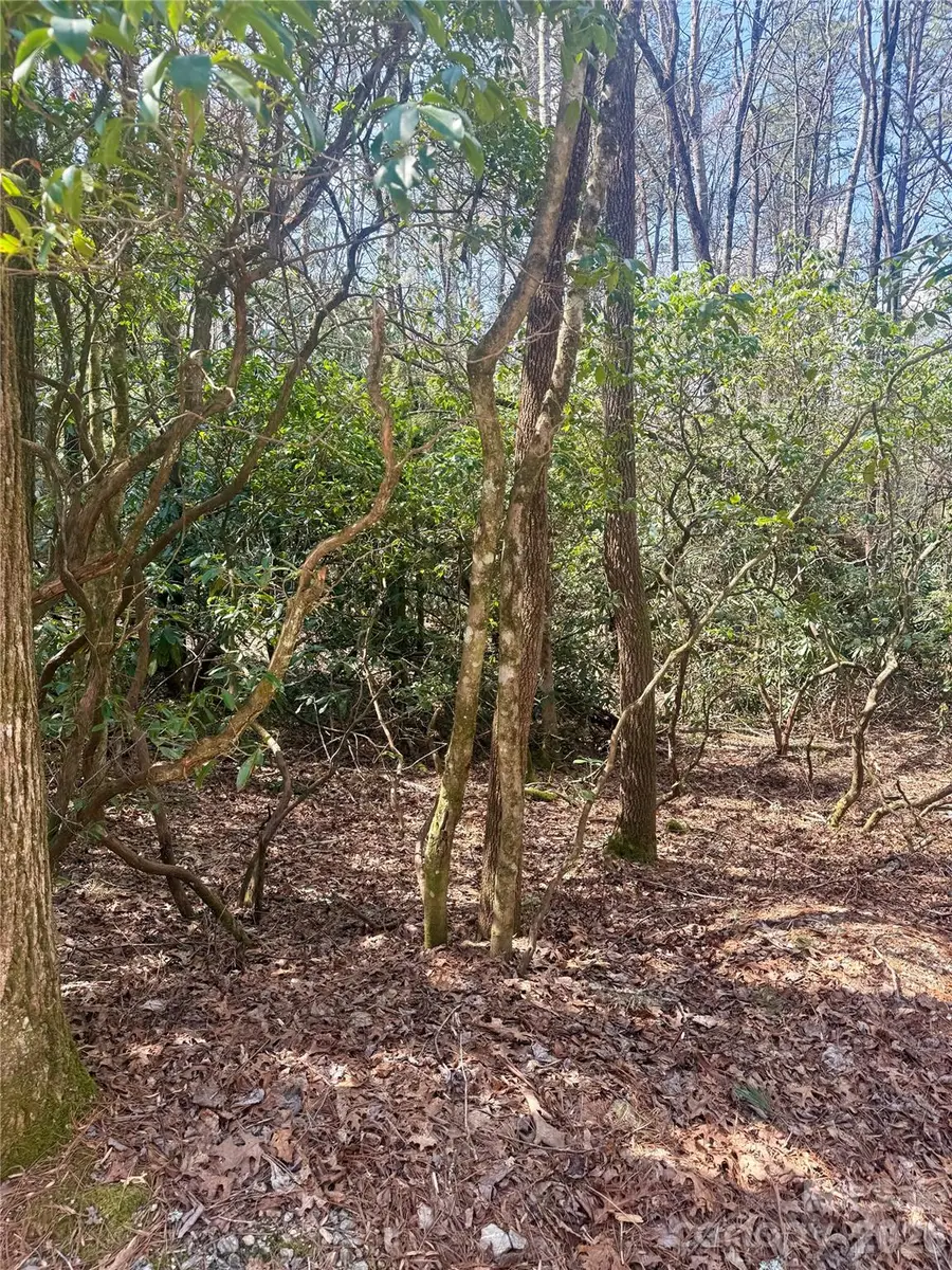 TBD Minerva Lane #Lots 79,80,84, Sapphire, NC 28774 - #2