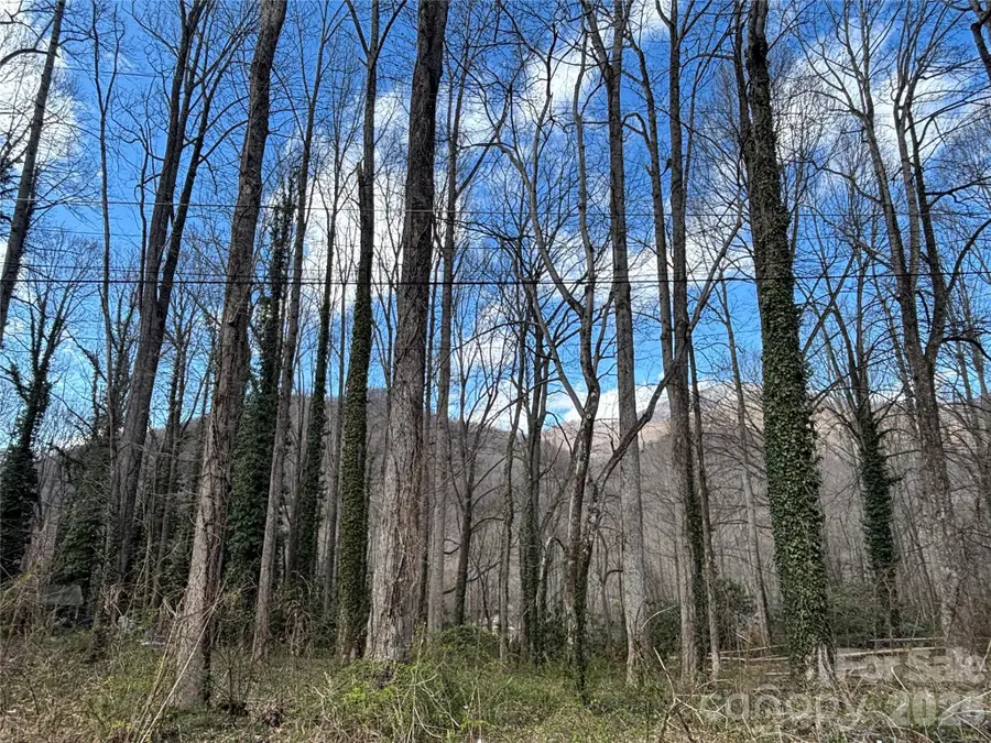 TBD Ash Drive #14, Maggie Valley, NC 28751 - #3