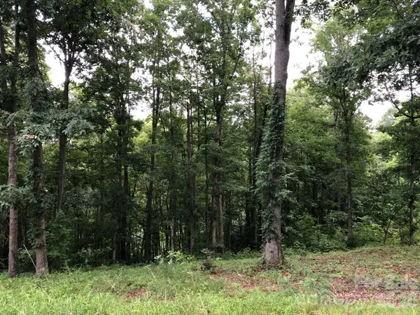 45 Sweet Fern Parkway #43, Asheville, NC 28804