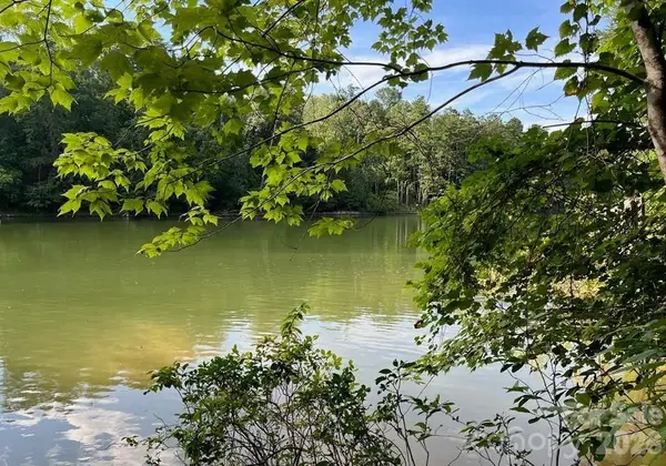 00 Canoe Drive #44, Mill Spring, NC 28756