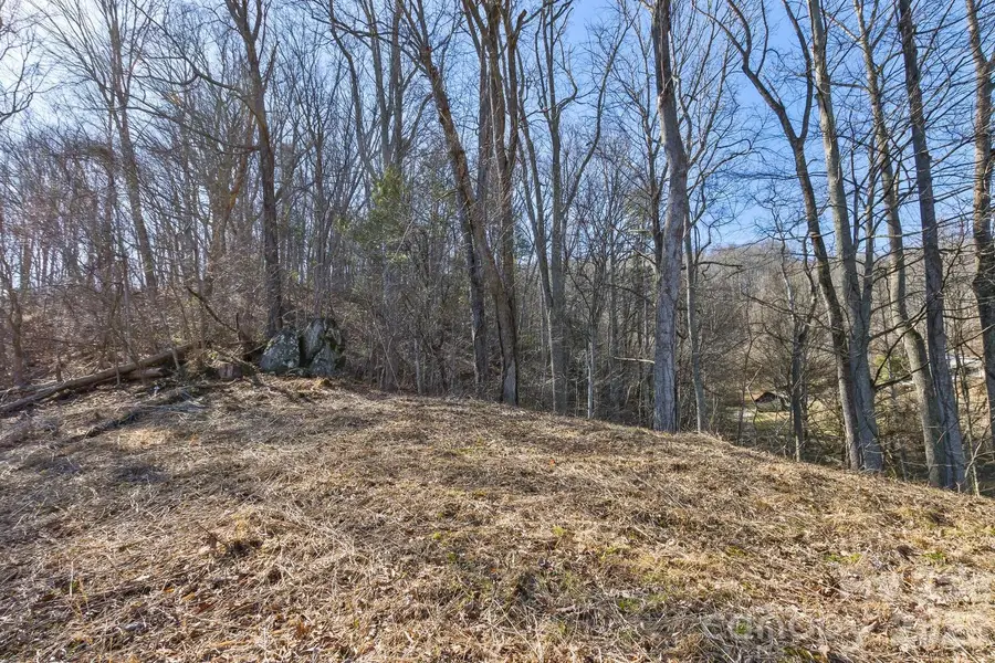 99999 Anderson Branch, Marshall, NC 28753 - #3