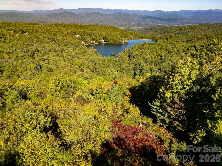 TBD Rock Face Road #L298, Brevard, NC 28712 - #2