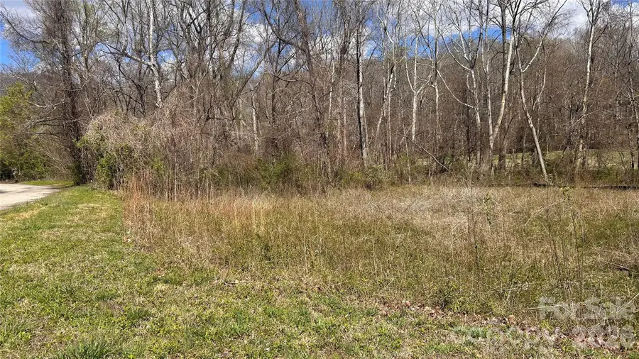 0 Lynnbrook Way, Columbus, NC 28722 - #3