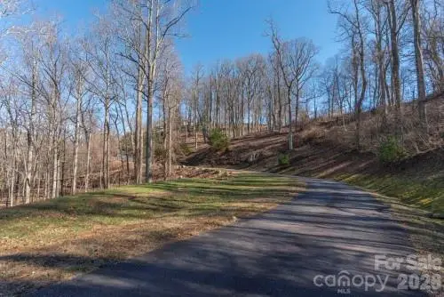 96 Castanea Mountain Drive, Asheville, NC 28803 - #2