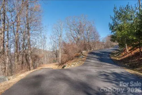 96 Castanea Mountain Drive, Asheville, NC 28803 - #3