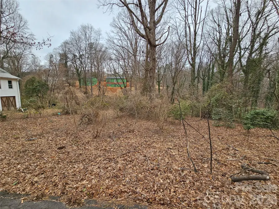 0 Pine Street #25, Tryon, NC 28782 - #3