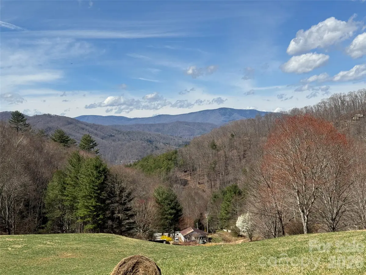 270 Anielee Lane, Clyde, NC 28721 - #1