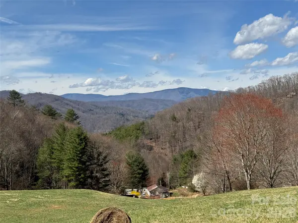 270 Anielee Lane, Clyde, NC 28721