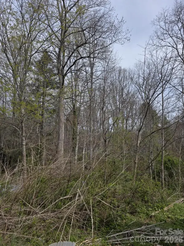 41 Jack Rabbit Drive, Marion, NC 28752