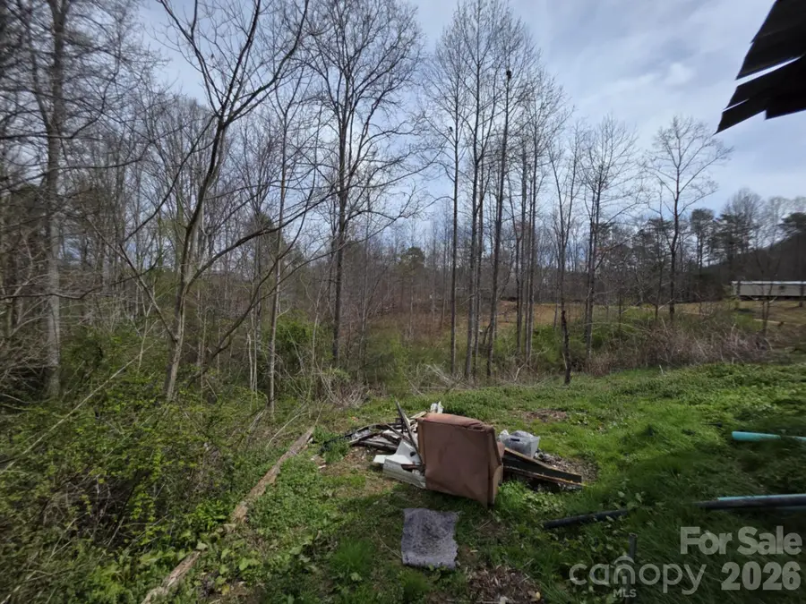 41 Jack Rabbit Drive, Marion, NC 28752 - #3