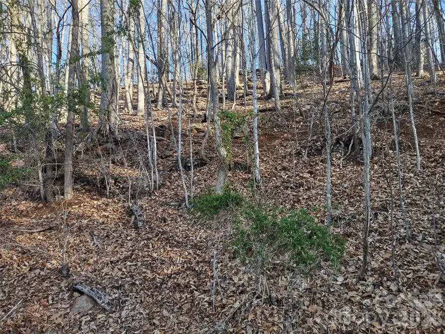 99999 Cedar Drive #273, Mills River, NC 28759 - #3