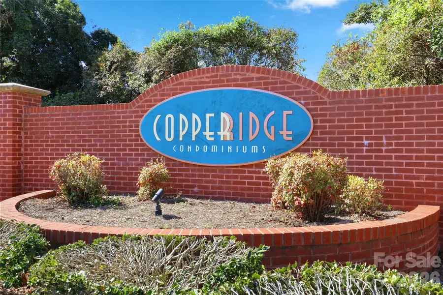 17157 Red Feather Drive, Charlotte, NC 28277 - #3