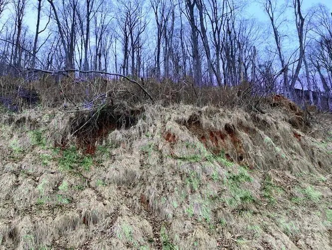 89 Weeping Cherry Forest Road, Fairview, NC 28730 - #1