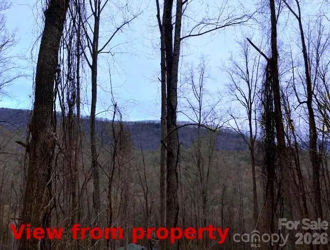 89 Weeping Cherry Forest Road, Fairview, NC 28730 - #2