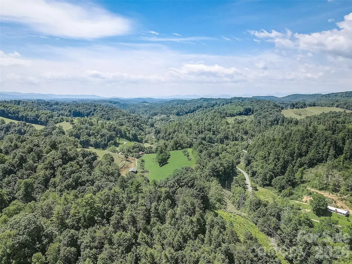 1820 Grapevine Road, Marshall, NC 28753 - #1